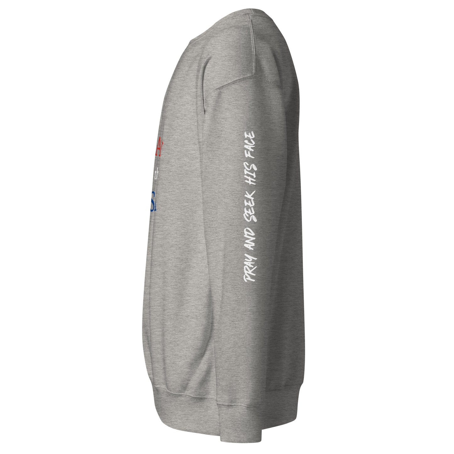 Pray for the USA Sweatshirt (Carbon Grey)