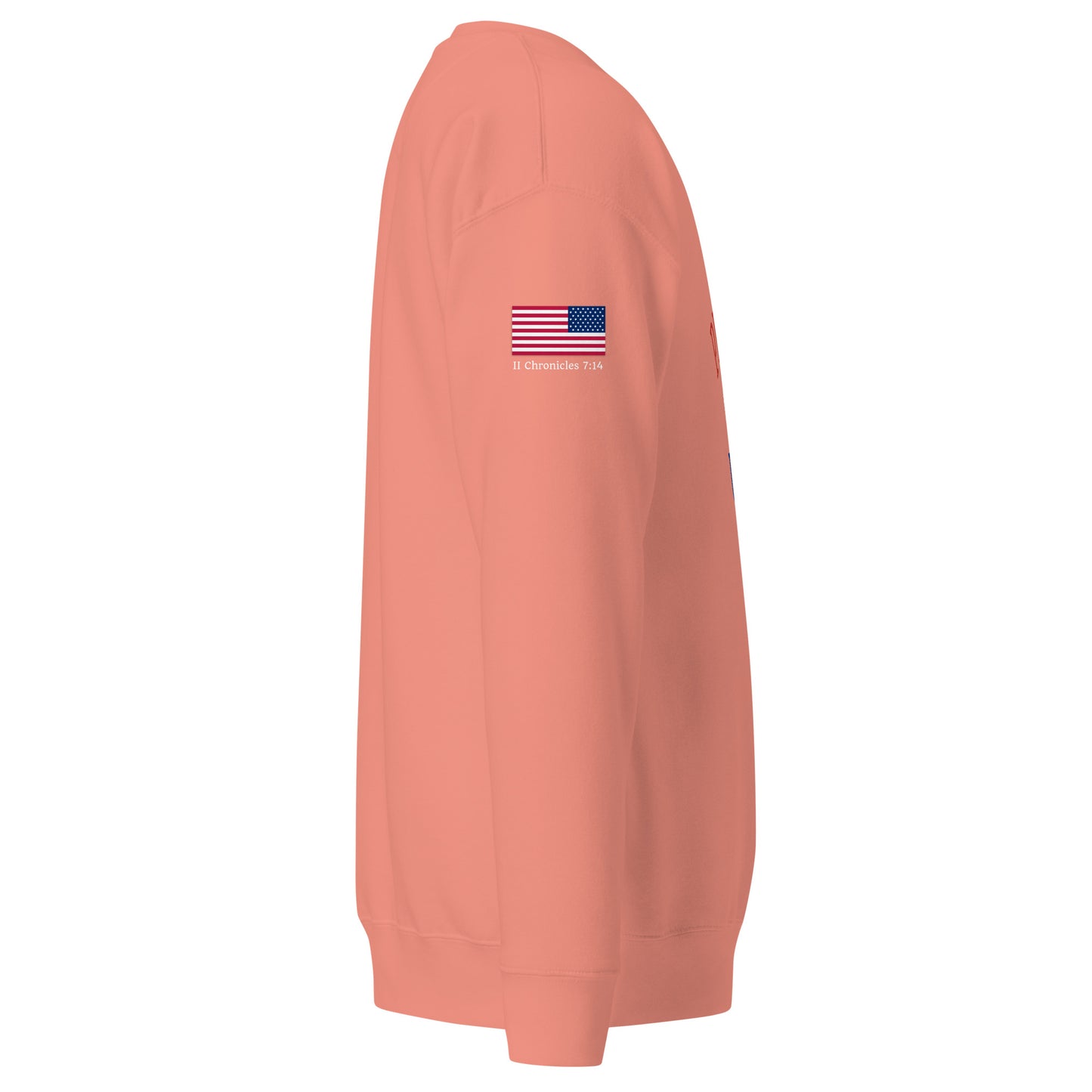 Pray for the USA Sweatshirt (Dusty Rose)